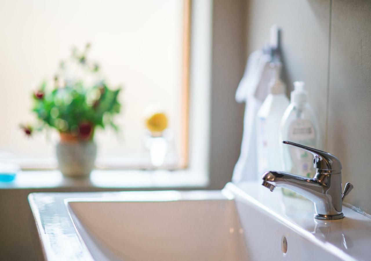 Dream Guesthouse Vik Zewnętrze zdjęcie