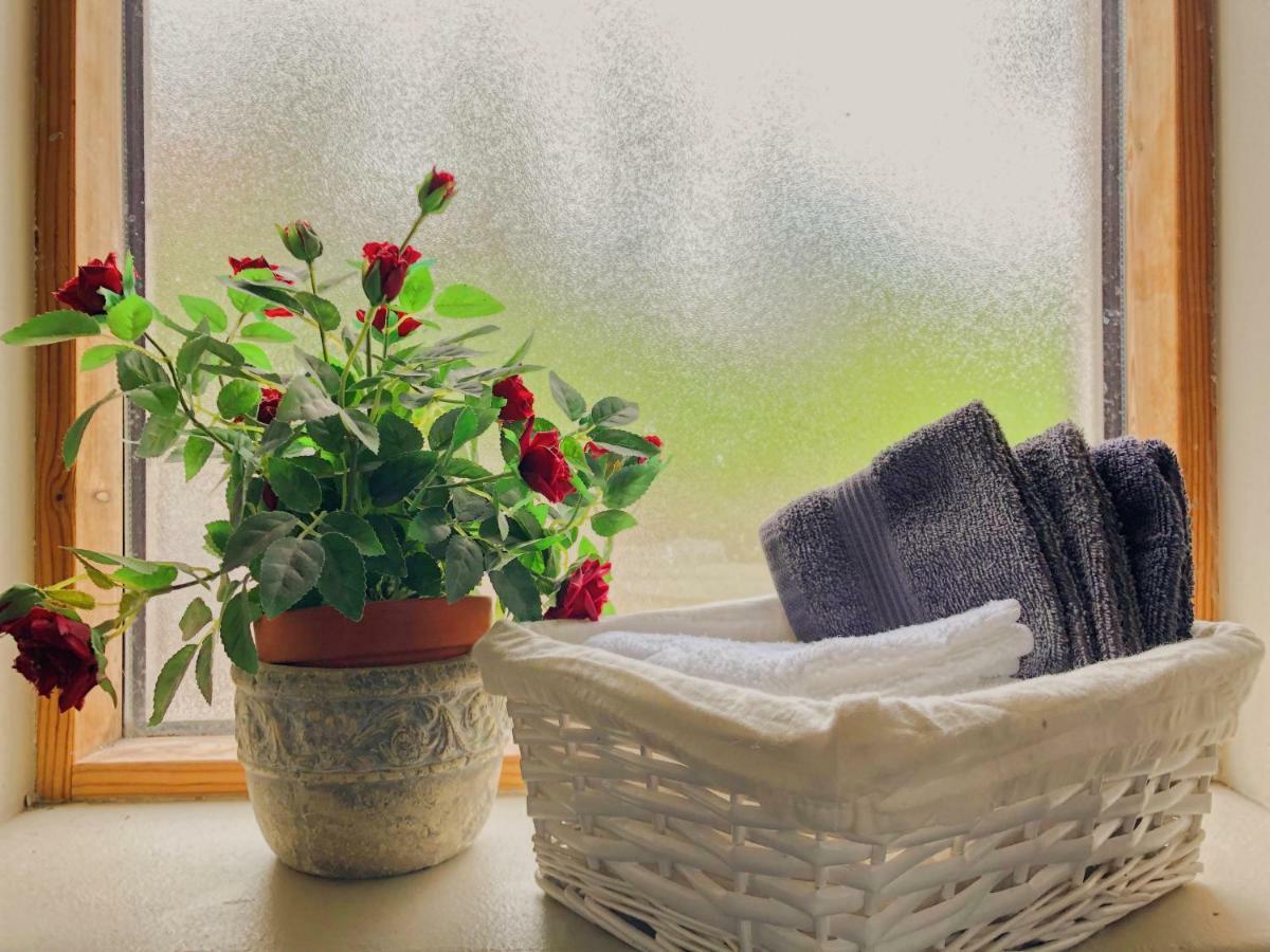 Dream Guesthouse Vik Zewnętrze zdjęcie
